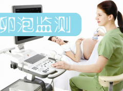 卵泡监测