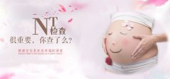 NT检查什么时候做比较好